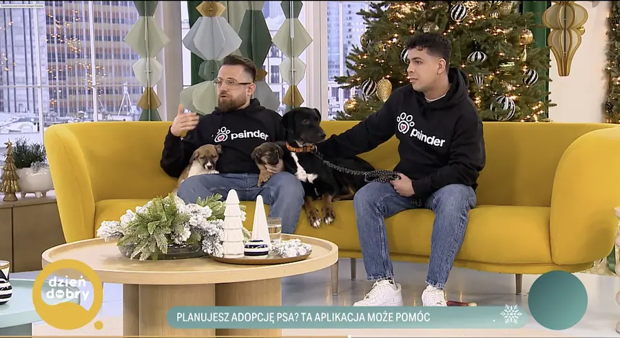 Dwaj założyciele Psindera w bluzach z logo, na kanapie w studiu „Dzień Dobry TVN”, z psami na kolanach